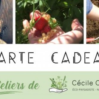Carte Cadeau